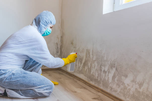 Hvac And Air Duct Mold Remediation inspection of HVAC system in Severna Park