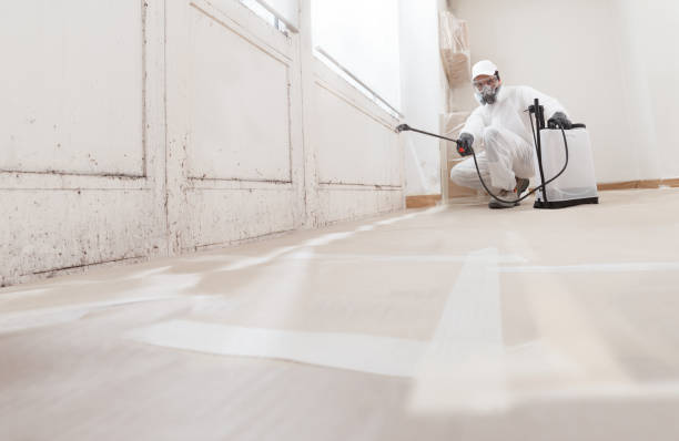 Post-remediation clearance in Severna Park